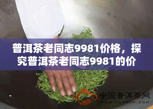 普洱茶老同志9981价格，探究普洱茶老同志9981的价格及其市场表现