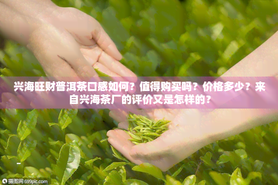 兴海旺财普洱茶口感如何？值得购买吗？价格多少？来自兴海茶厂的评价又是怎样的？