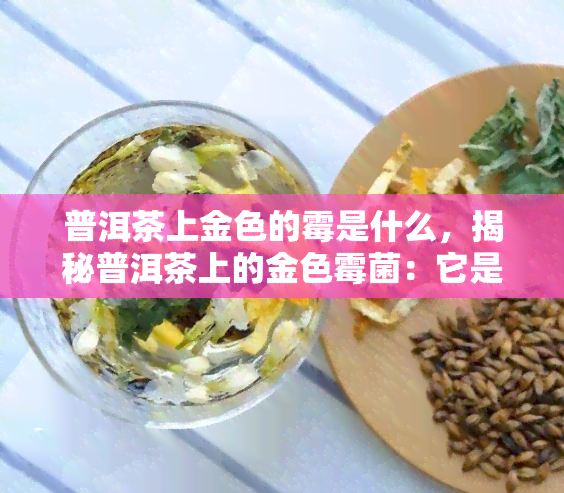 普洱茶上金色的霉是什么，揭秘普洱茶上的金色霉菌：它是什么，有何影响？