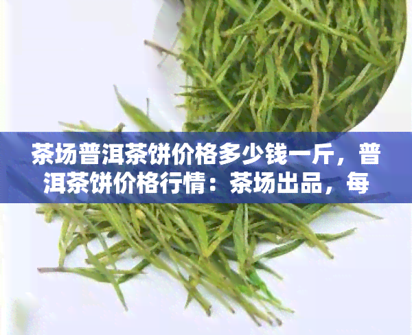 茶场普洱茶饼价格多少钱一斤，普洱茶饼价格行情：茶场出品，每斤多少钱？