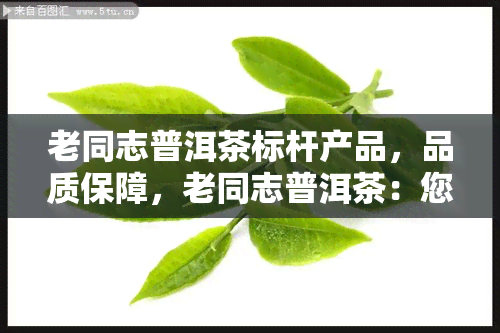 老同志普洱茶标杆产品，品质保障，老同志普洱茶：您的标杆产品选择！