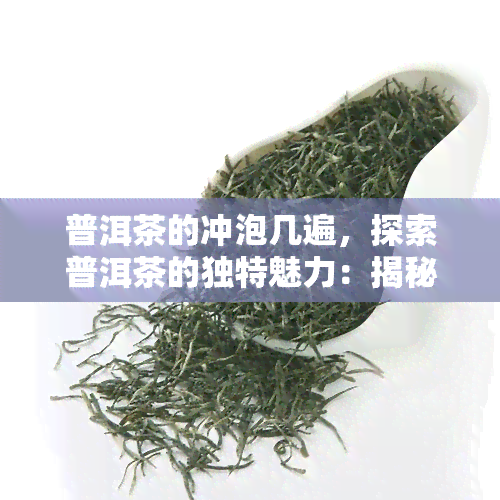 普洱茶的冲泡几遍，探索普洱茶的独特魅力：揭秘冲泡次数对口感的影响