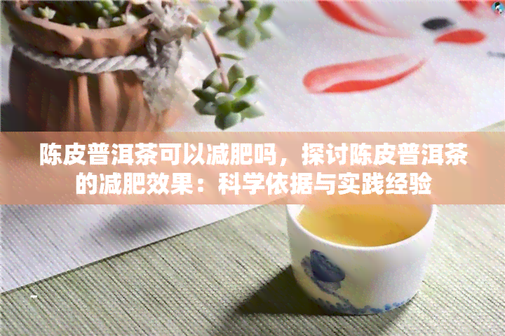 陈皮普洱茶可以减肥吗，探讨陈皮普洱茶的减肥效果：科学依据与实践经验