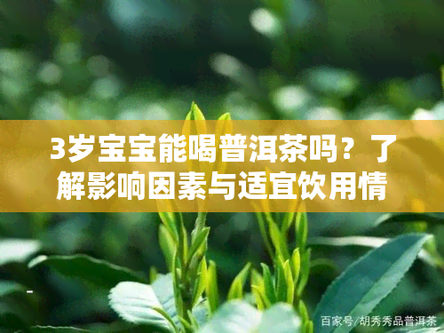 3岁宝宝能喝普洱茶吗？了解影响因素与适宜饮用情况