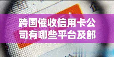 跨国信用卡公司有哪些平台及部门？