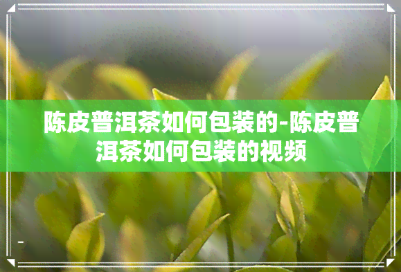 陈皮普洱茶如何包装的-陈皮普洱茶如何包装的视频