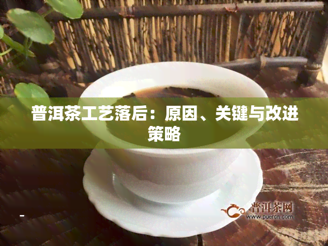 普洱茶工艺落后：原因、关键与改进策略