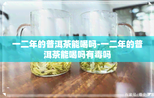 一二年的普洱茶能喝吗-一二年的普洱茶能喝吗有吗