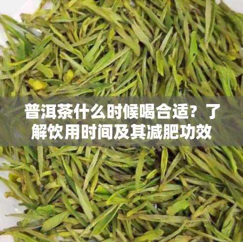 普洱茶什么时候喝合适？了解饮用时间及其减肥功效