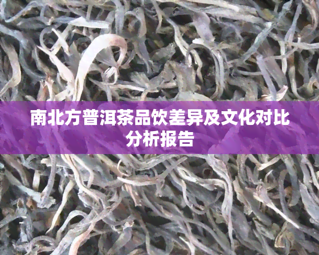 南北方普洱茶品饮差异及文化对比分析报告