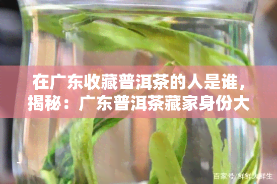 在广东收藏普洱茶的人是谁，揭秘：广东普洱茶藏家身份大公开！