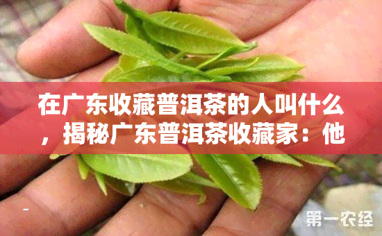 在广东收藏普洱茶的人叫什么，揭秘广东普洱茶收藏家：他们是谁？