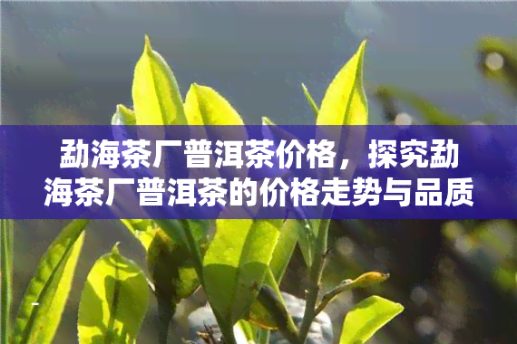 勐海茶厂普洱茶价格，探究勐海茶厂普洱茶的价格走势与品质特点