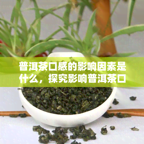 普洱茶口感的影响因素是什么，探究影响普洱茶口感的多种因素