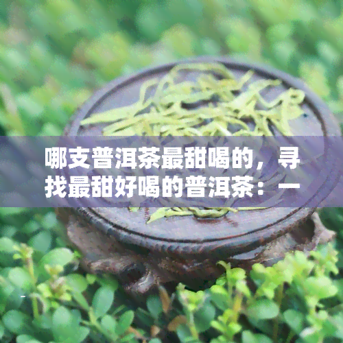 哪支普洱茶最甜喝的，寻找最甜好喝的普洱茶：一探究竟！