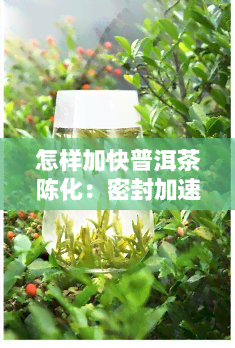 怎样加快普洱茶陈化：密封加速陈化法技术