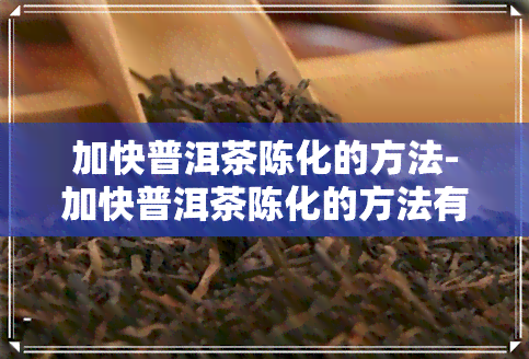 加快普洱茶陈化的方法-加快普洱茶陈化的方法有哪些