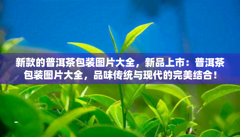 新款的普洱茶包装图片大全，新品上市：普洱茶包装图片大全，品味传统与现代的完美结合！