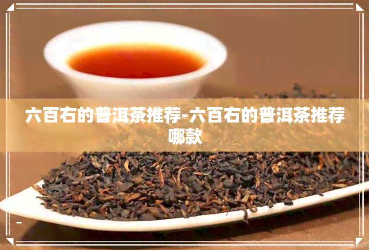 六百右的普洱茶推荐-六百右的普洱茶推荐哪款