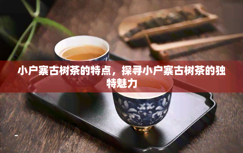 小户寨古树茶的特点，探寻小户寨古树茶的独特魅力