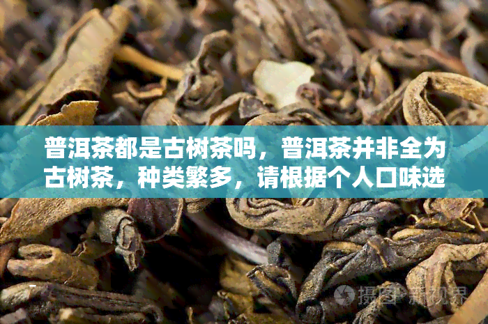 普洱茶都是古树茶吗，普洱茶并非全为古树茶，种类繁多，请根据个人口味选择