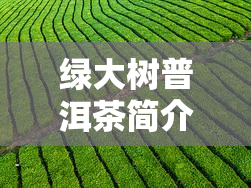 绿大树普洱茶简介，深入了解绿大树普洱茶：一款独特的中国茶叶简介