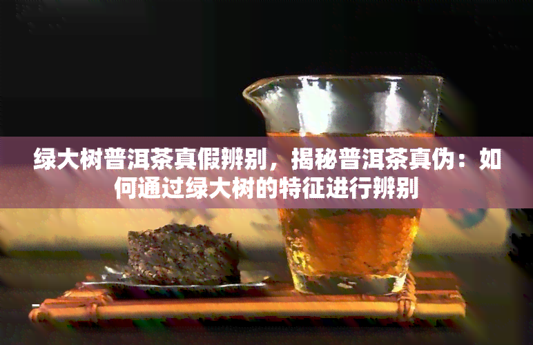 绿大树普洱茶真假辨别，揭秘普洱茶真伪：如何通过绿大树的特征进行辨别