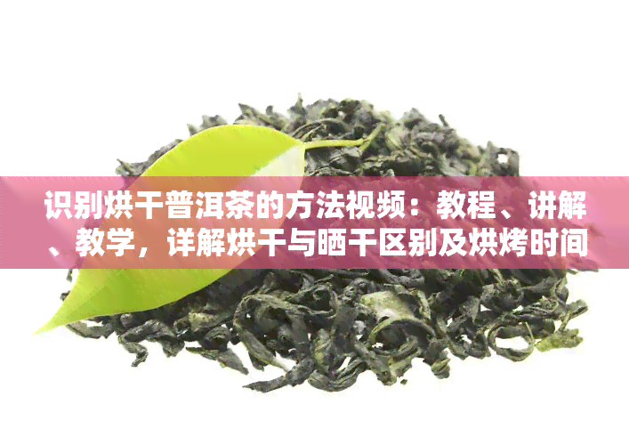 识别烘干普洱茶的方法视频：教程、讲解、教学，详解烘干与晒干区别及烘烤时间，附烘干机推荐