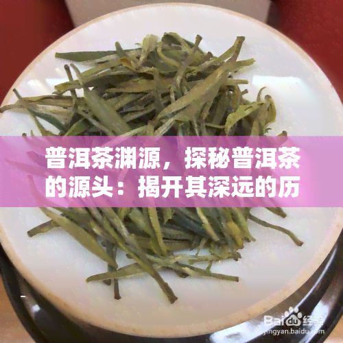 普洱茶渊源，探秘普洱茶的源头：揭开其深远的历和文化底蕴