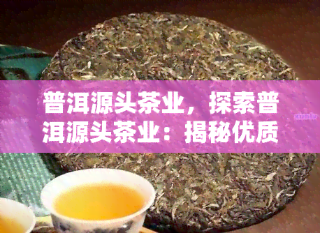 普洱源头茶业，探索普洱源头茶业：揭秘优质茶叶的诞生地