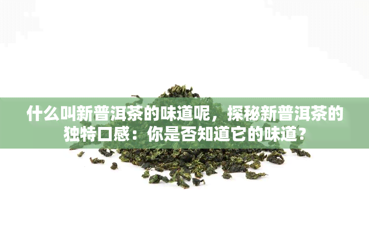 什么叫新普洱茶的味道呢，探秘新普洱茶的独特口感：你是否知道它的味道？