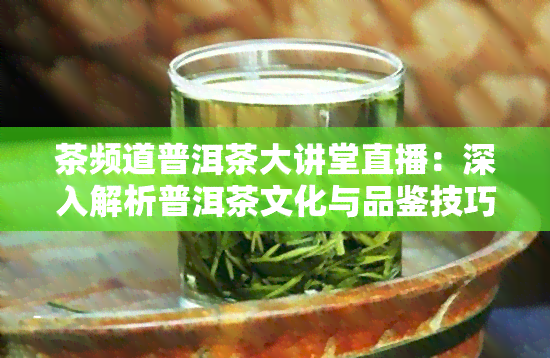 茶频道普洱茶大讲堂直播：深入解析普洱茶文化与品鉴技巧