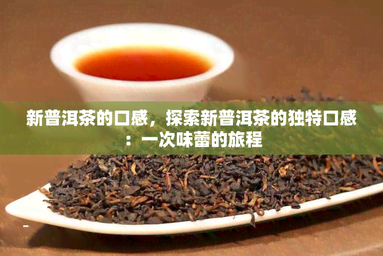 新普洱茶的口感，探索新普洱茶的独特口感：一次味蕾的旅程