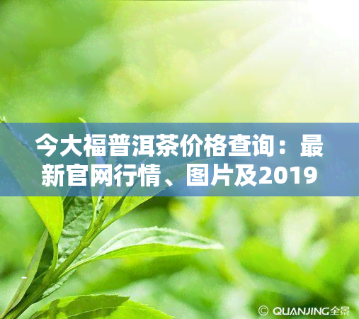 今大福普洱茶价格查询：最新官网行情、图片及2019年最新价格