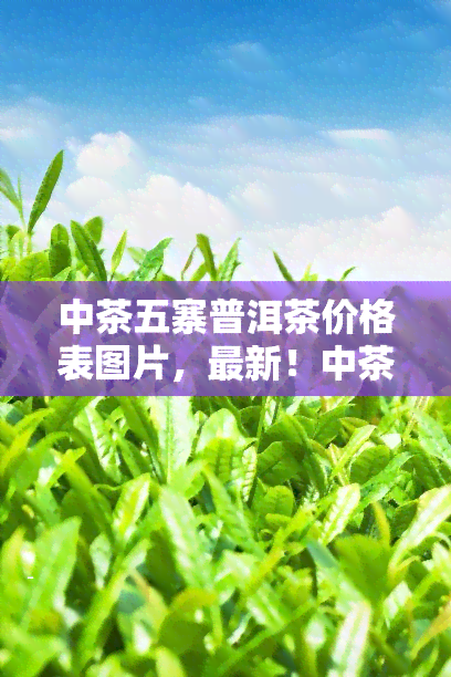 中茶五寨普洱茶价格表图片，最新！中茶五寨普洱茶价格表及图片全览