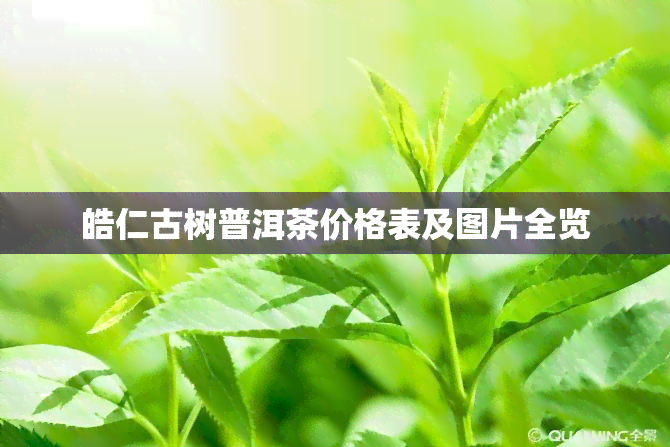 皓仁古树普洱茶价格表及图片全览