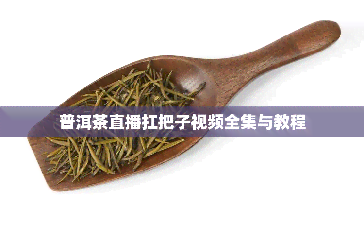 普洱茶直播扛把子视频全集与教程