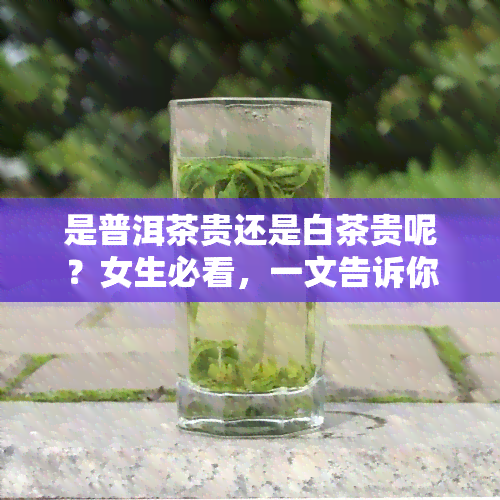 是普洱茶贵还是白茶贵呢？女生必看，一文告诉你答案！