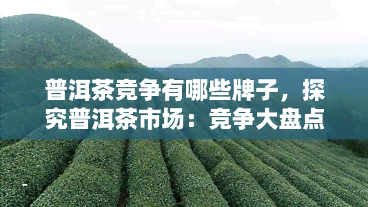 普洱茶竞争有哪些牌子，探究普洱茶市场：竞争大盘点