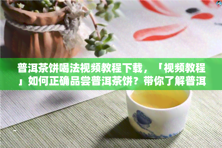 普洱茶饼喝法视频教程下载，「视频教程」如何正确品尝普洱茶饼？带你了解普洱茶的喝法！