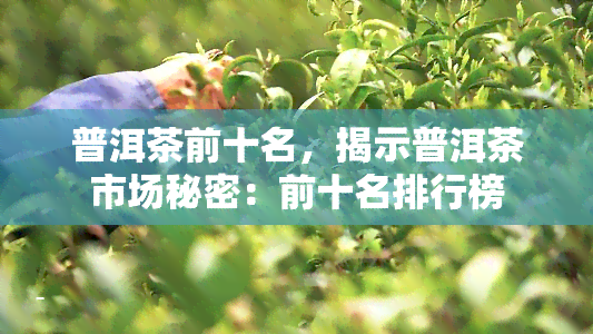 普洱茶前十名，揭示普洱茶市场秘密：前十名排行榜