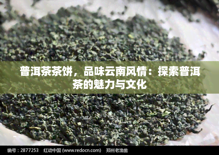 普洱茶茶饼，品味云南风情：探索普洱茶的魅力与文化