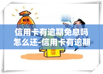 信用卡有逾期免息吗怎么还-信用卡有逾期免息吗怎么还款