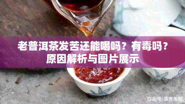 老普洱茶发苦还能喝吗？有吗？原因解析与图片展示