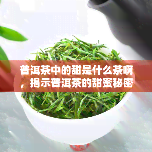 普洱茶中的甜是什么茶啊，揭示普洱茶的甜蜜秘密：甜味来自哪种茶叶？