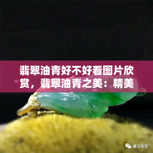 翡翠油青好不好看图片欣赏，翡翠油青之美：精美图片欣赏