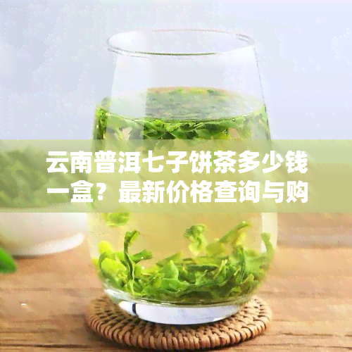 云南普洱七子饼茶多少钱一盒？最新价格查询与购买指南