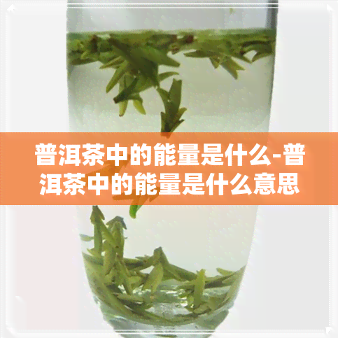 普洱茶中的能量是什么-普洱茶中的能量是什么意思