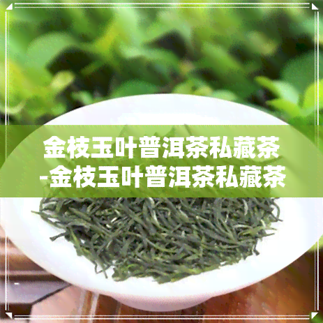 金枝玉叶普洱茶私藏茶-金枝玉叶普洱茶私藏茶,高山天然