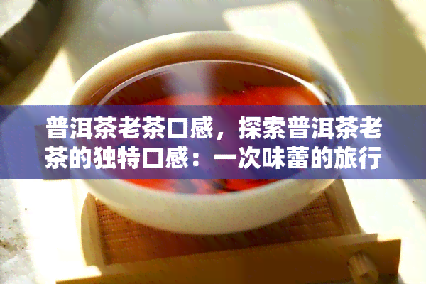 普洱茶老茶口感，探索普洱茶老茶的独特口感：一次味蕾的旅行